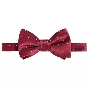 Tayion Collection Men's Crimson & Cream Dot Bow Tie